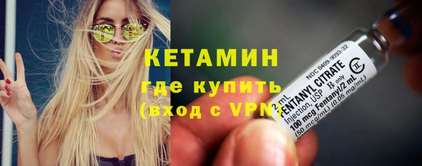 индика Верхний Тагил