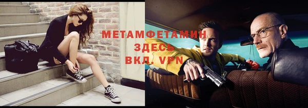 индика Володарск
