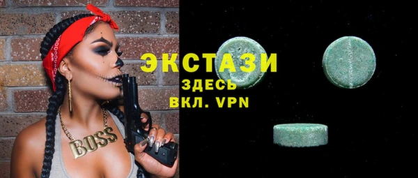 индика Володарск