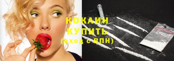 индика Верхний Тагил