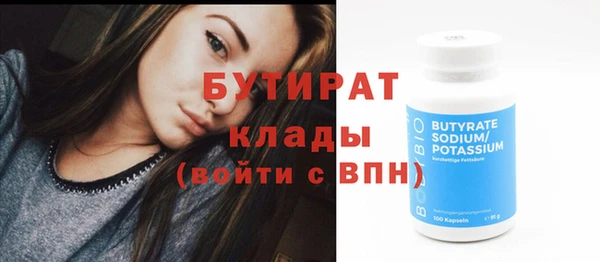 индика Володарск