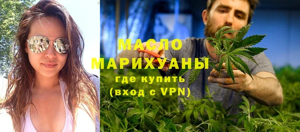индика Володарск