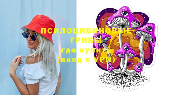 индика Володарск