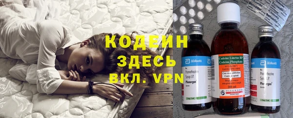 индика Володарск