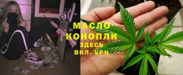 индика Володарск