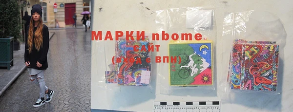 индика Володарск