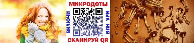 Галлюциногенные грибы ЛСД  гидра ссылки  Волоколамск 